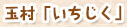 玉村「いちじく」