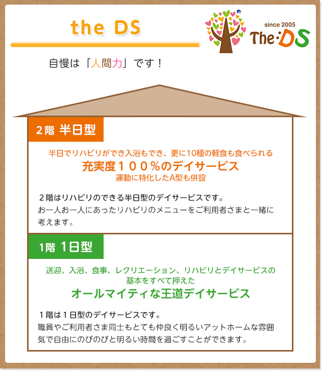 the DS