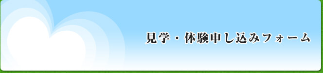 介護のサーバント 応募フォーム